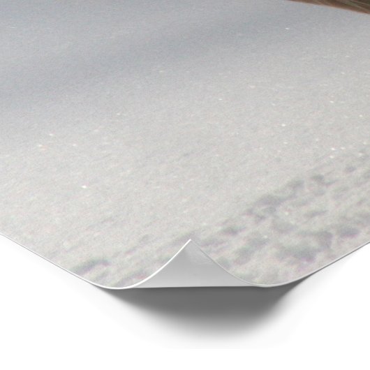 GOLDEN RETRIEVER POSTER (Hoek)