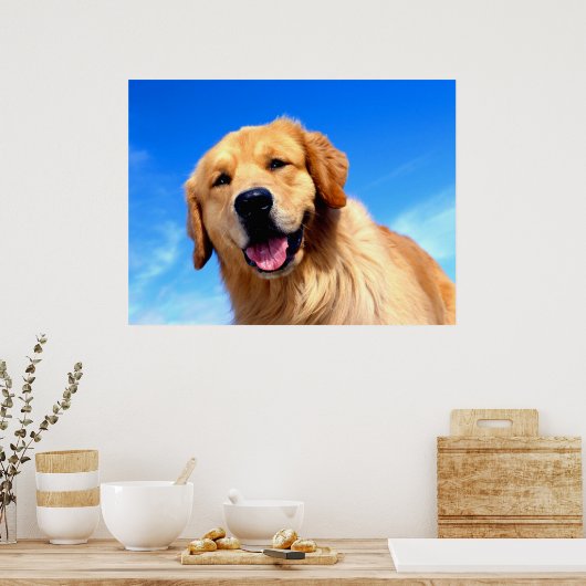 Golden Retriever Poster (Keuken)