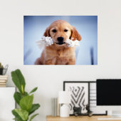 Golden Retriever poster (Thuiskantoor)