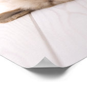 Golden Retriever Poster (Hoek)