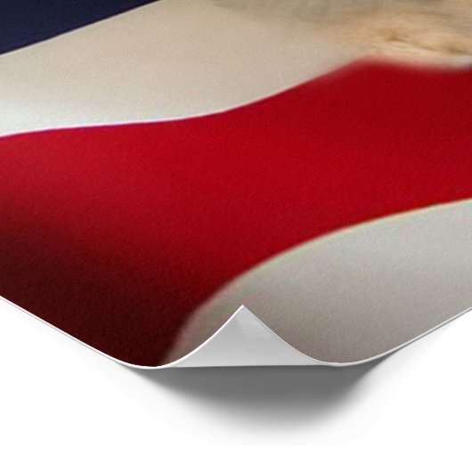 Golden Retriever Poster All American Puppy (Hoek)