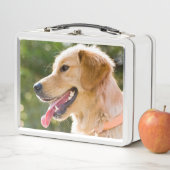 Golden Retriever profiel met tongen uit (In situ)