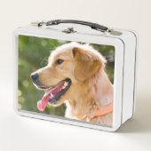 Golden Retriever profiel met tongen uit (Voorkant)