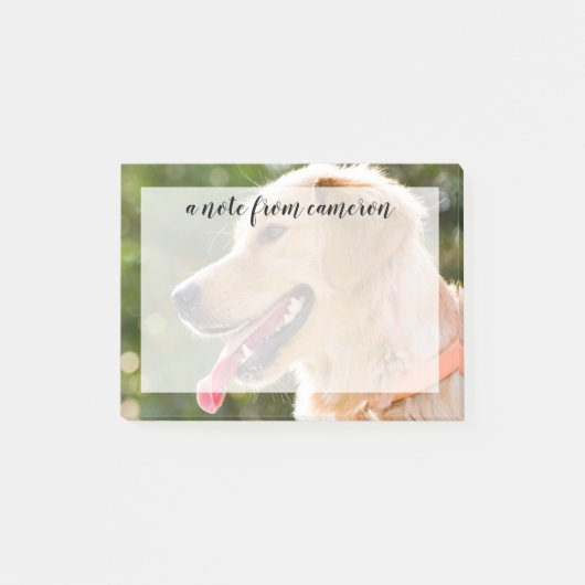 Golden Retriever profiel met tongen uit Post-it® Notes (Voorkant)