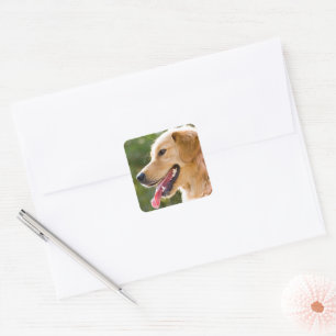 Golden Retriever profiel met tongen uit Vierkante Sticker