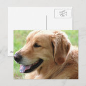 Golden Retriever Pup Briefkaart (Voorkant / Achterkant)