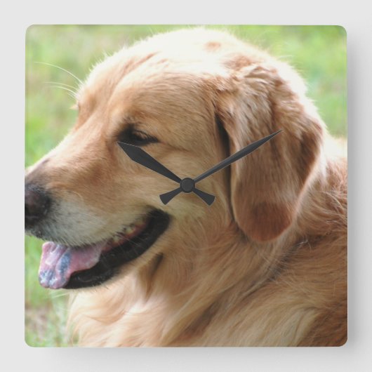 Golden Retriever Pup Clock Vierkante Klok (Voorkant)