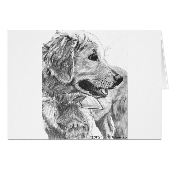 Golden Retriever Pup Drawing (Voorkant Horizontaal)