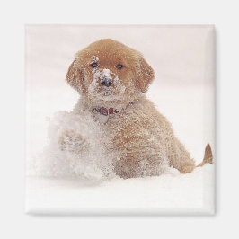 Golden Retriever Pup in sneeuw Magneet