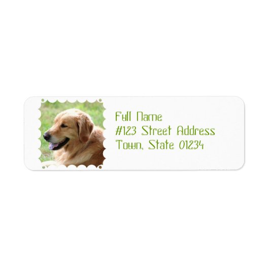 Golden Retriever Pup Mailing Labels (Voorkant)
