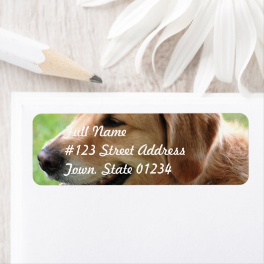 Golden Retriever Pup Mailing Labels (Insitu)