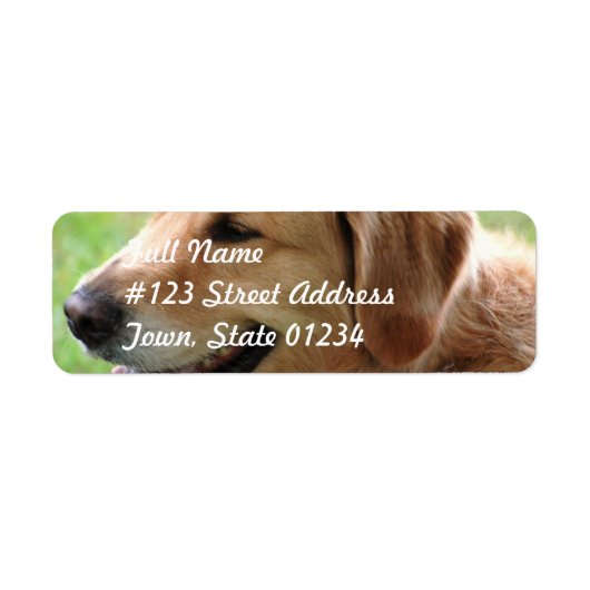 Golden Retriever Pup Mailing Labels (Voorkant)