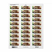 Golden Retriever Pup Mailing Labels (Full Sheet)