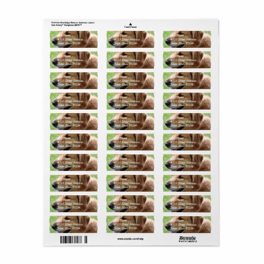 Golden Retriever Pup Mailing Labels (Full Sheet)