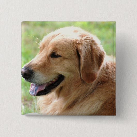 Golden Retriever Pup Pin Vierkante Button 5,1 Cm (Voorkant)