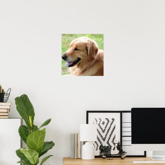 Golden Retriever Pup Poster Print (Thuiskantoor)