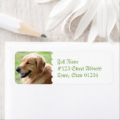 Golden Retriever Pup Retouradres Mailing Labels (Insitu)
