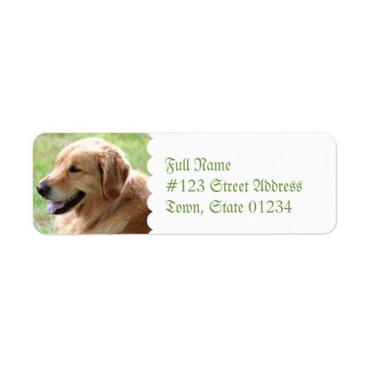 Golden Retriever Pup Retouradres Mailing Labels (Voorkant)