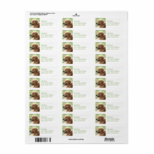 Golden Retriever Pup Retouradres Mailing Labels (Full Sheet)