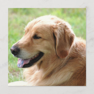 Golden Retriever Pup-uitnodigingen Kaart