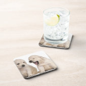 Golden Retriever puppies (4 weken oud) Drankjes Onderzetter (Rechterzijde)