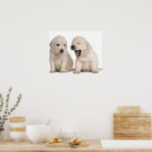 Golden Retriever puppies (4 weken oud) Poster (Keuken)