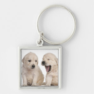 Golden Retriever puppies (4 weken oud) Sleutelhanger