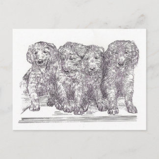 Golden Retriever Puppies Briefkaart