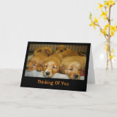 Golden Retriever Puppies denken aan jou Kaart (Gele Bloem)