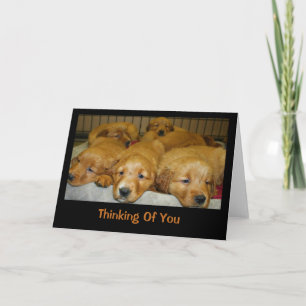 Golden Retriever Puppies denken aan jou Kaart