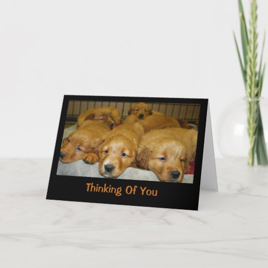 Golden Retriever Puppies denken aan jou Kaart (Voorkant)