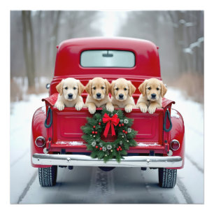 Golden Retriever Puppies in een kersttruck Foto Afdruk