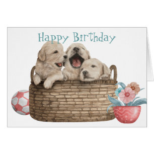Golden Retriever-Puppies in mandje Birthday Card