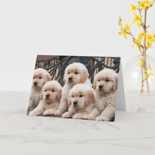 Golden Retriever Puppies Kaart (Gele Bloem)