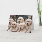Golden Retriever Puppies Kaart (Voorkant)