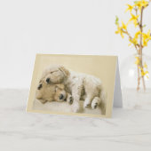 Golden Retriever Puppies Kaart (Gele Bloem)