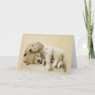 Golden Retriever Puppies Kaart