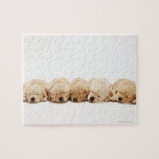 Golden Retriever Puppies Legpuzzel (Horizontaal)