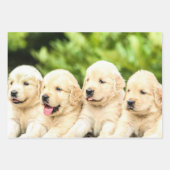 Golden Retriever-Puppies op een rij Inpakpapier Vel (Voorkant 2)