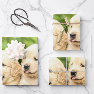 Golden Retriever-Puppies op een rij Inpakpapier Vel