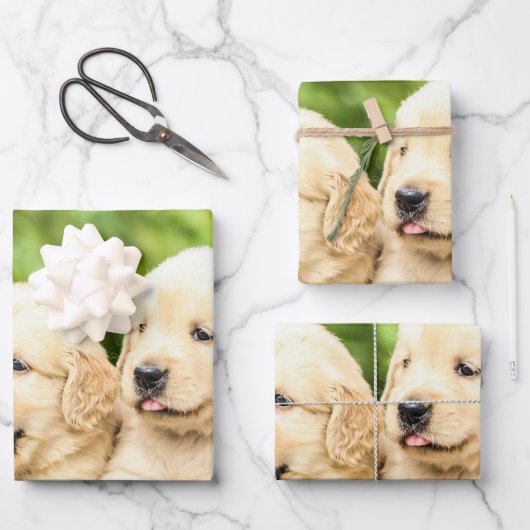 Golden Retriever-Puppies op een rij Inpakpapier Vel (Voorkant)