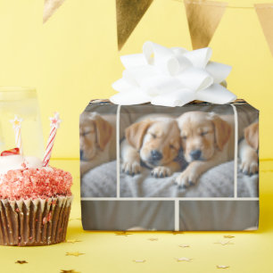 Golden Retriever Puppies slapen Cadeaupapier