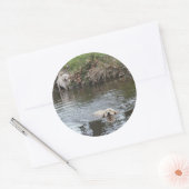 Golden Retriever Puppies Sticker (Envelop)