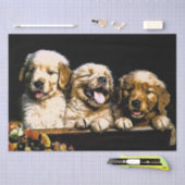Golden Retriever Puppies Tissuepapier (Craft)