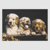 Golden Retriever Puppies Tissuepapier (Voorkant)