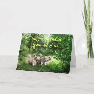 Golden Retriever Puppies Verjaardag Kaart