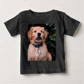 Golden Retriever Puppy (Voorkant)