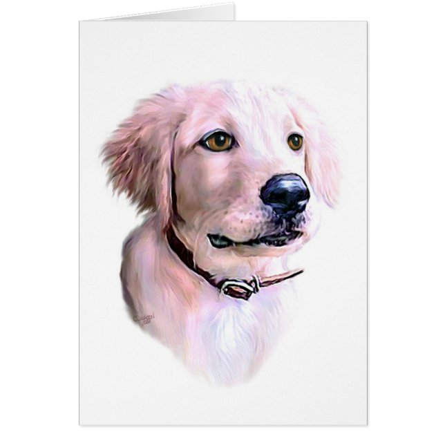 Golden Retriever Puppy (Voorkant)