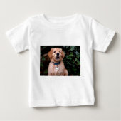 Golden Retriever Puppy (Voorkant)