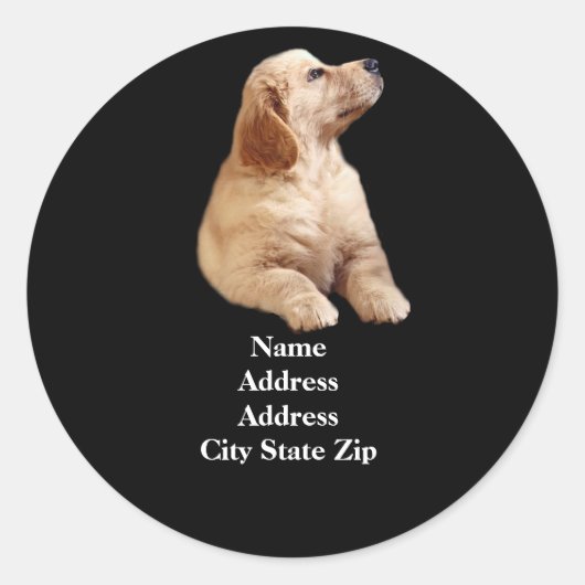 Golden Retriever Puppy Adreslabel Ronde Sticker (Voorkant)